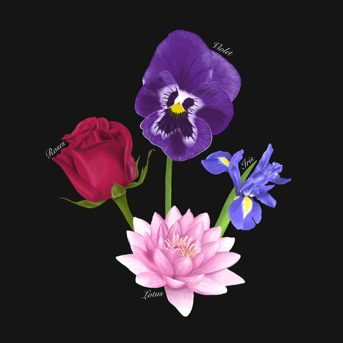 Roses/Lotus/Violet/Iris